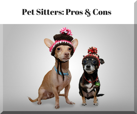 Pet Sitters