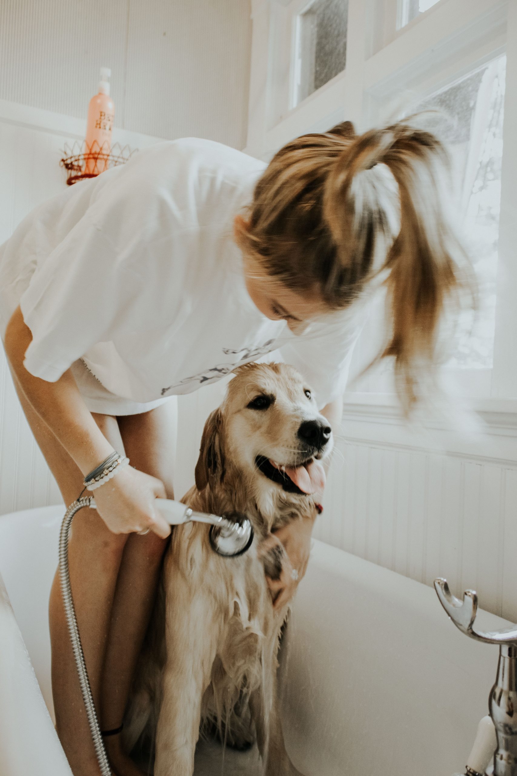 Dog bath